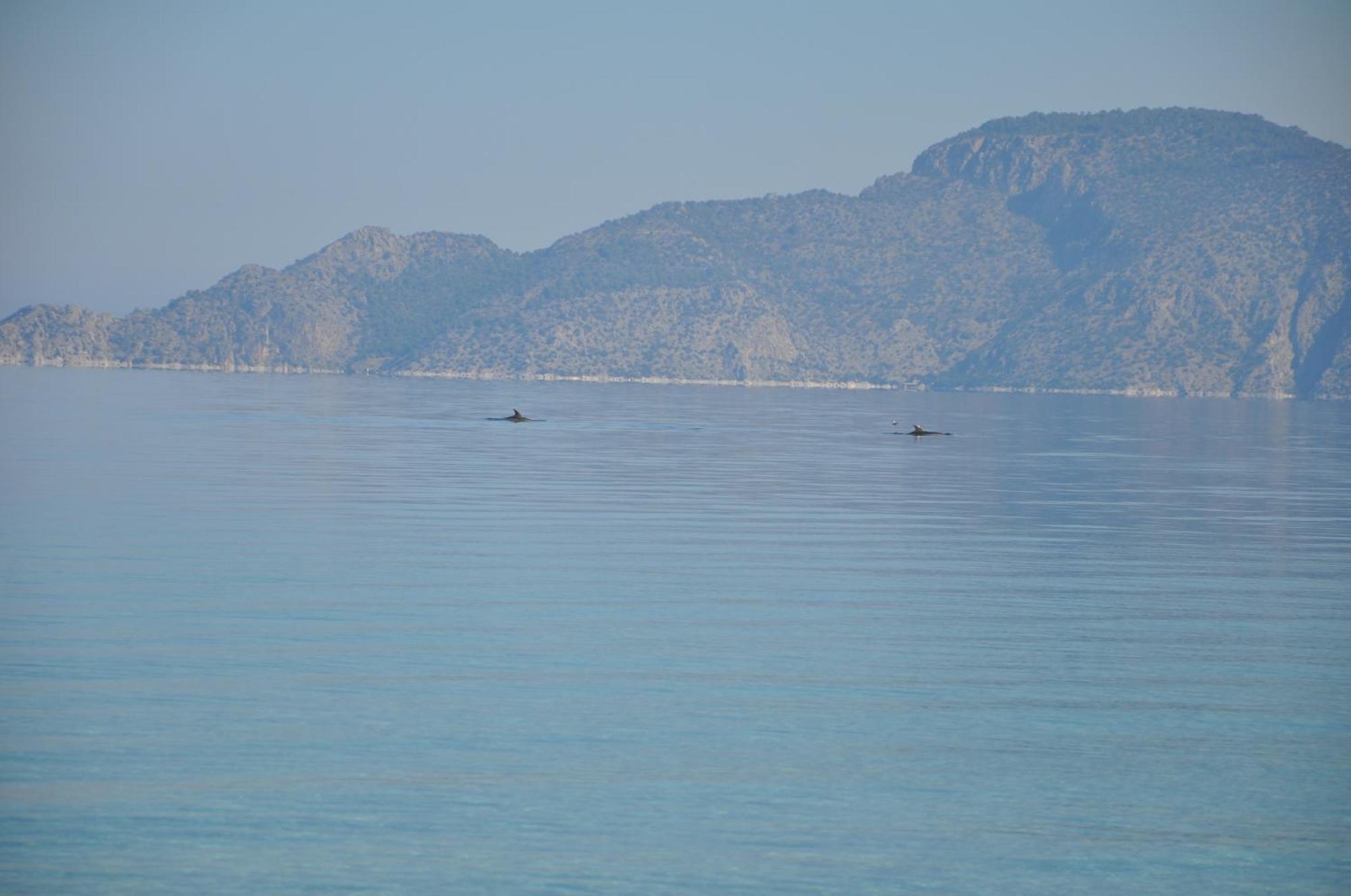 Villa In Kalloni Direkt Am Meer, Tolle Aussicht Buitenkant foto